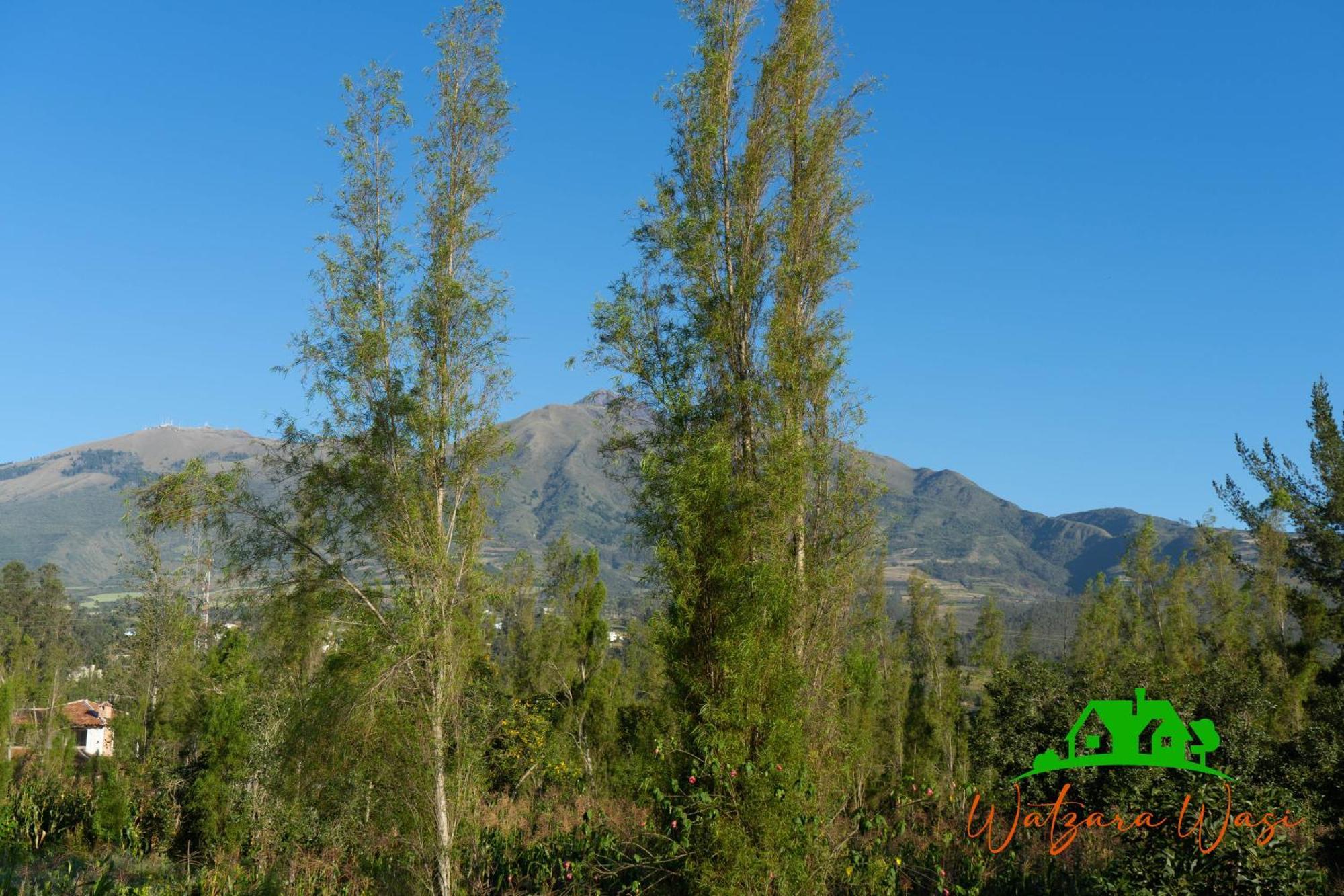 Watzara Wasi Cottage Familiar Camprestre Y Lofts En Cotacachi Esterno foto